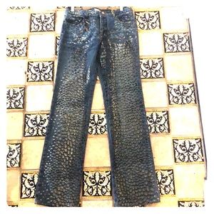 Roberto Cavalli Jeans